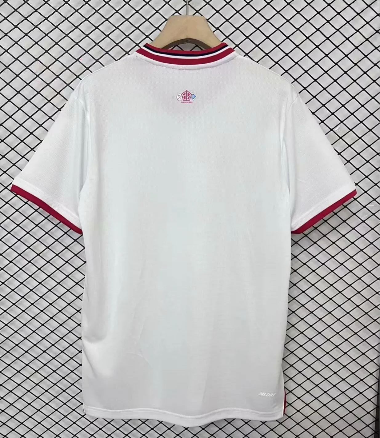 LOSC Lille Special Edition 80th Anniversary Kit 24/25