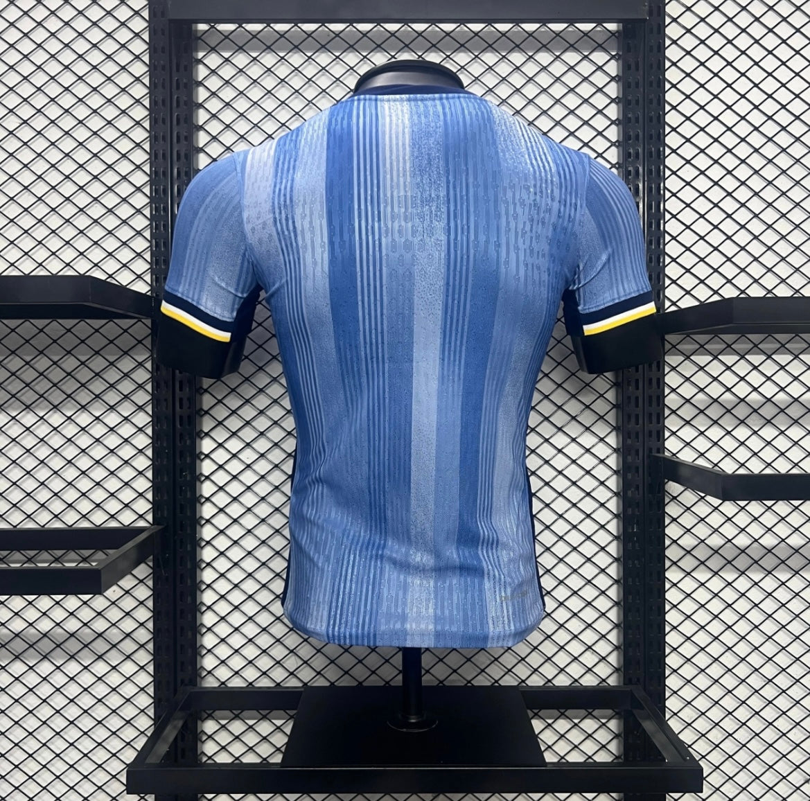 Tottenham Hotspur Away Kit 24/25