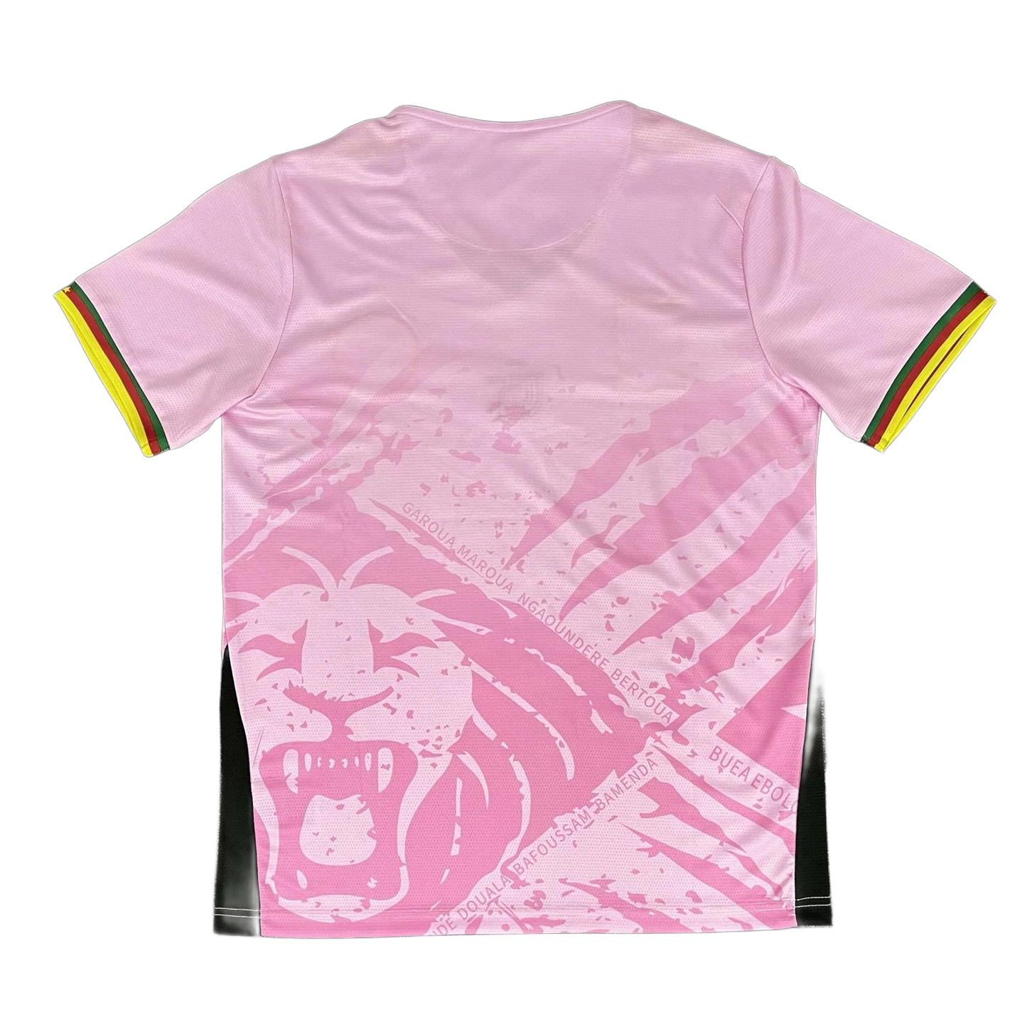 Cameroon Third Kit 25/26