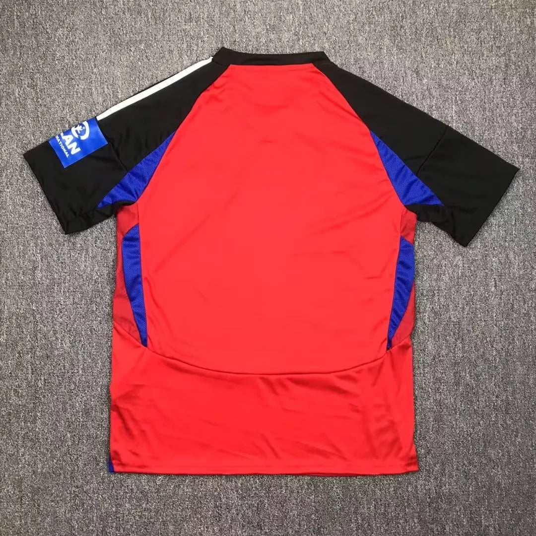 Hamburg SV Away Kit 24/25
