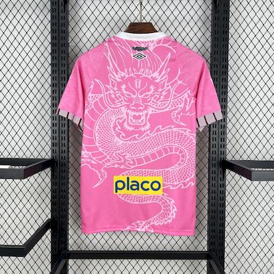 Santos Concept Kit 25/26