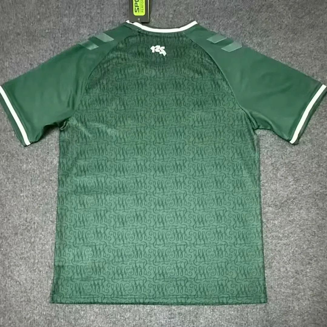 Werder Bremen Special Edition Kit 25/26