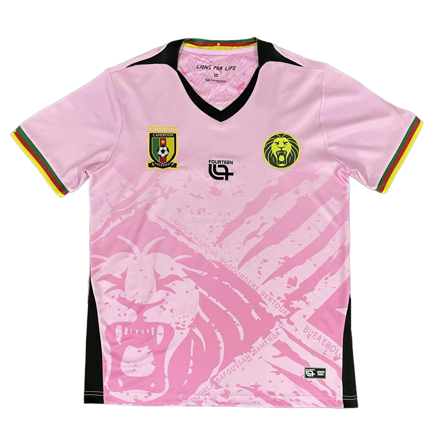 Cameroon Third Kit 25/26