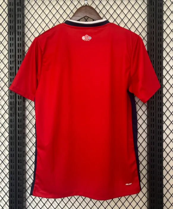 LOSC Lille Home Kit 24/25